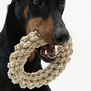 Large Breed Rope Chew Toy