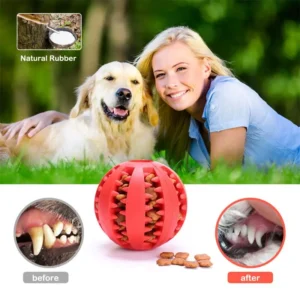 Chewable Food Dispenser Ball